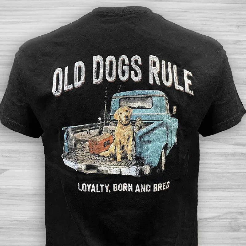 Hybrid Old Dogs Rule